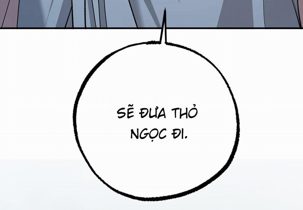 Đàn Thỏ Của Habibi 62 trang 4