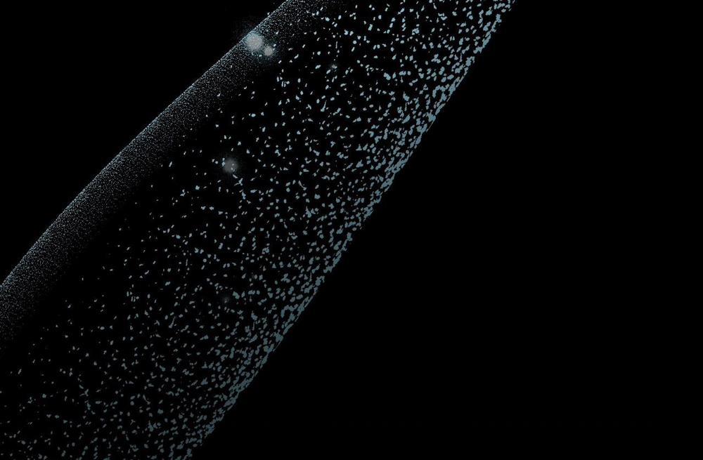 Đàn Thỏ Của Habibi 62 trang 56