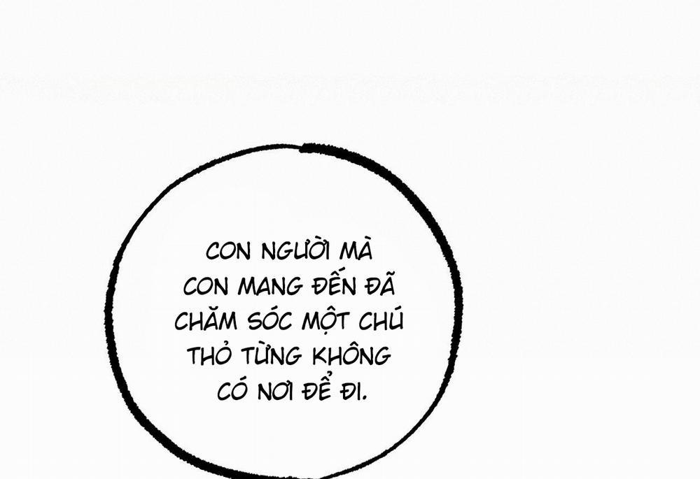 Đàn Thỏ Của Habibi 62 trang 87