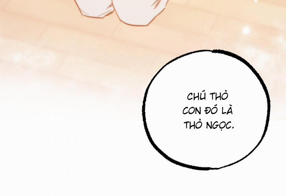 Đàn Thỏ Của Habibi 62 trang 90