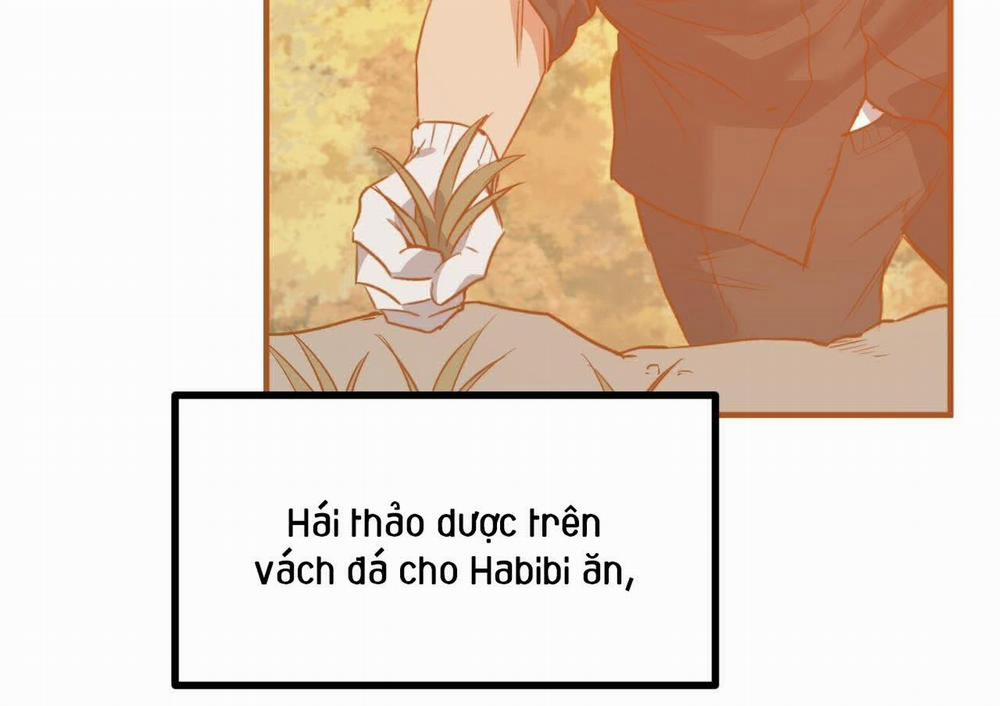 Đàn Thỏ Của Habibi 63 trang 128