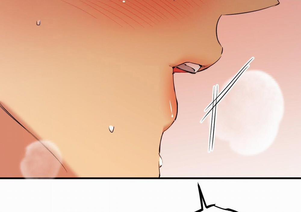 Đàn Thỏ Của Habibi 63 trang 146