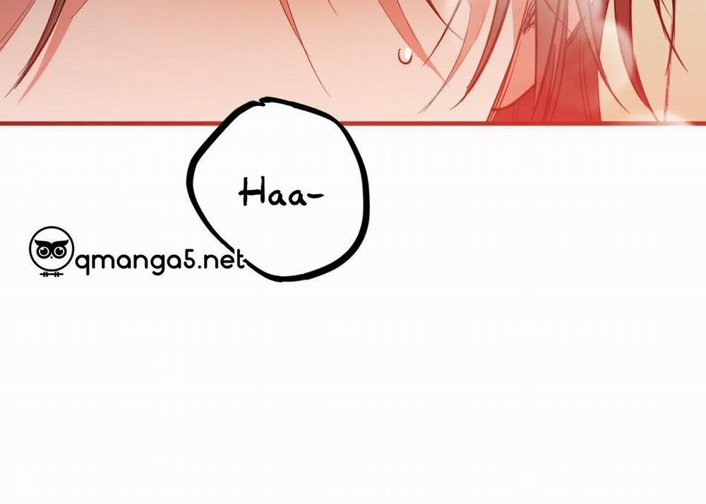 Đàn Thỏ Của Habibi 63 trang 149