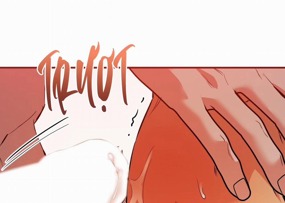 Đàn Thỏ Của Habibi 63 trang 161