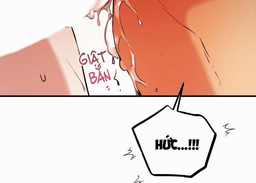 Đàn Thỏ Của Habibi 63 trang 162