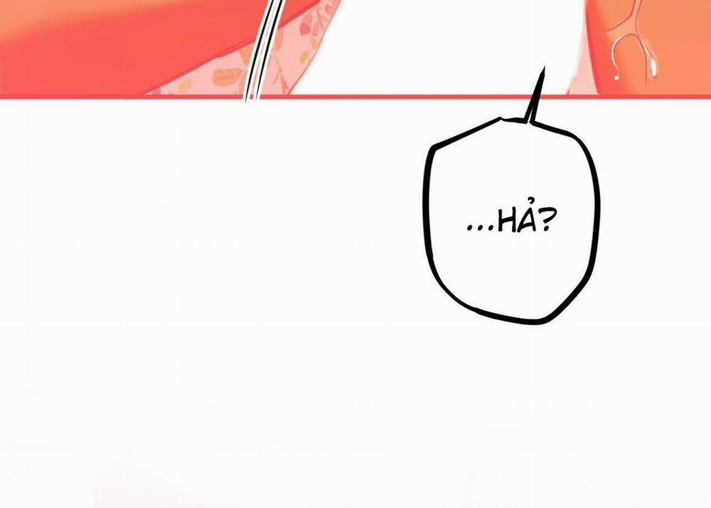 Đàn Thỏ Của Habibi 63 trang 168