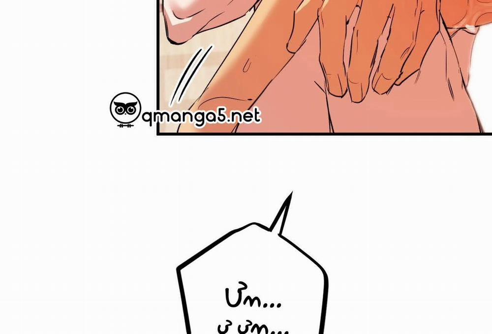 Đàn Thỏ Của Habibi 63 trang 193