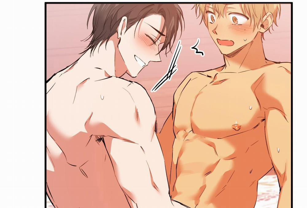 Đàn Thỏ Của Habibi 63 trang 201