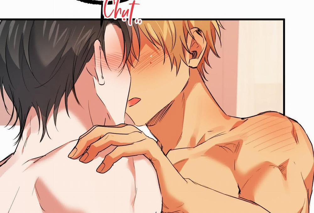 Đàn Thỏ Của Habibi 63 trang 205