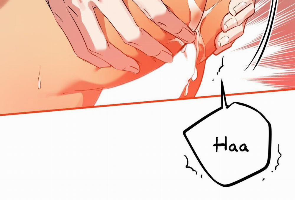 Đàn Thỏ Của Habibi 63 trang 209