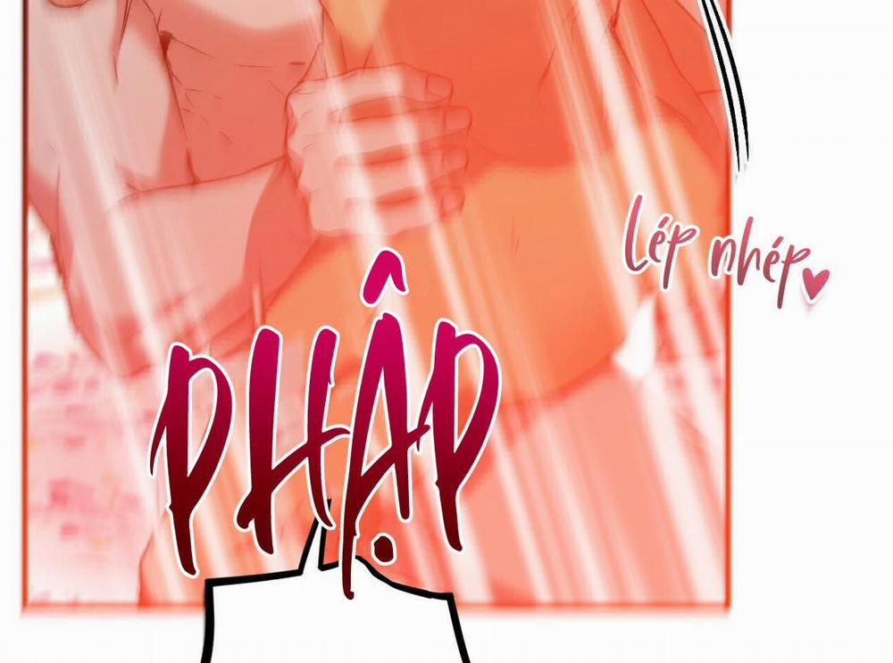 Đàn Thỏ Của Habibi 63 trang 216