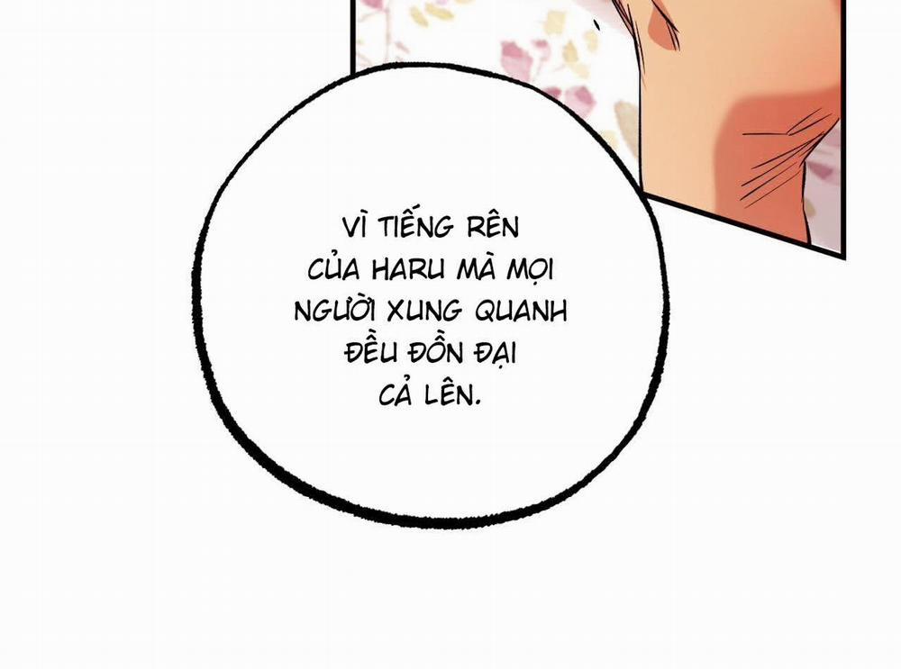 Đàn Thỏ Của Habibi 63 trang 228