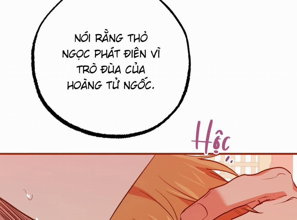 Đàn Thỏ Của Habibi 63 trang 230