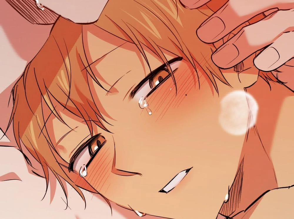 Đàn Thỏ Của Habibi 63 trang 231