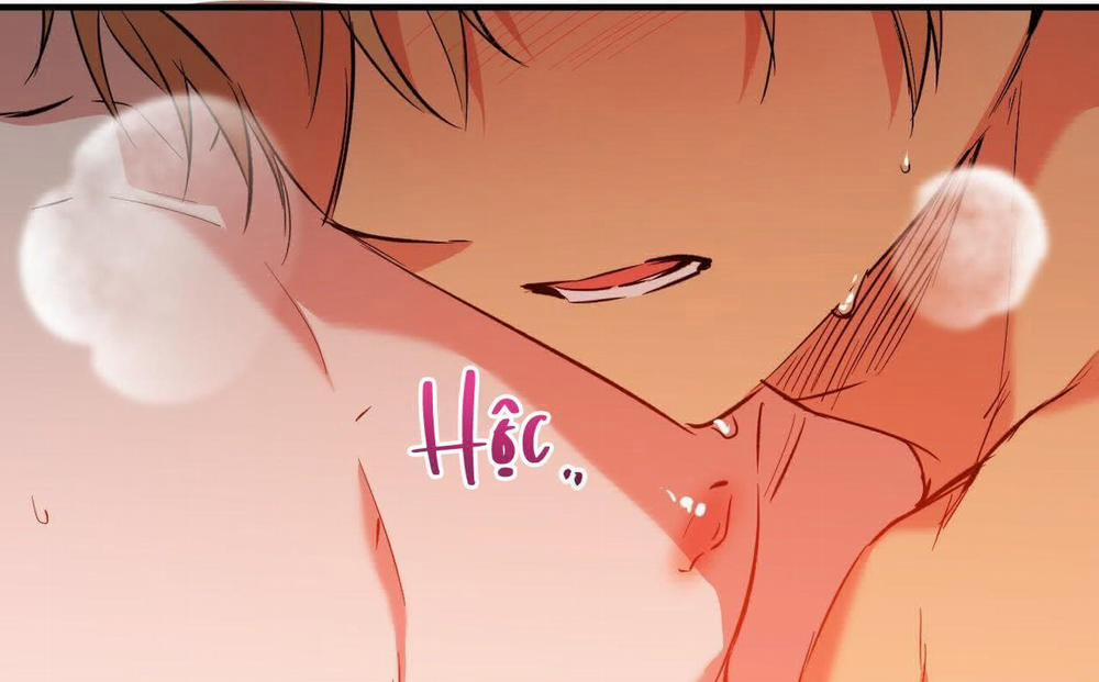 Đàn Thỏ Của Habibi 63 trang 234