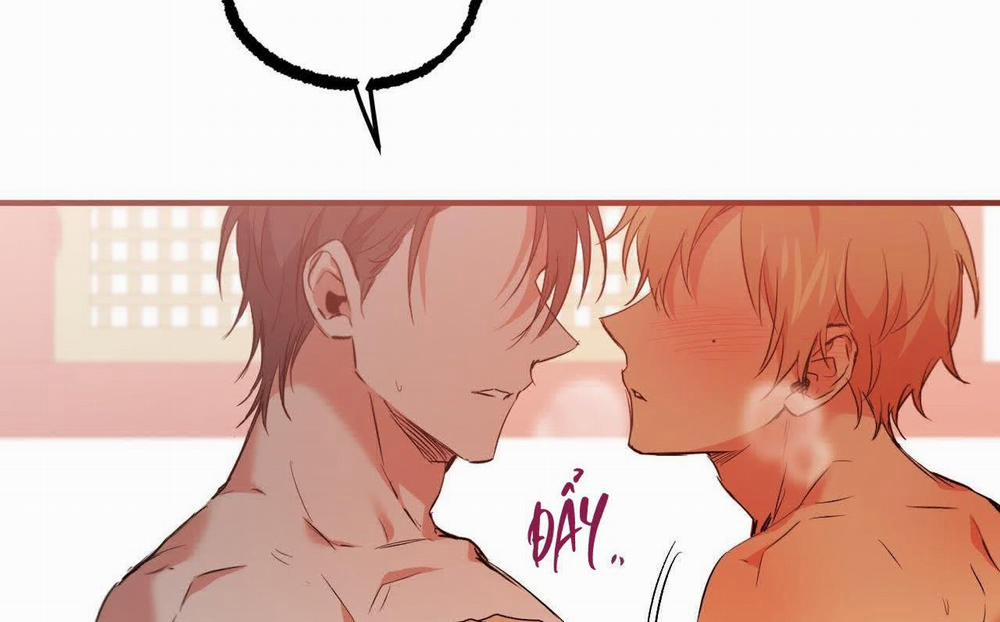 Đàn Thỏ Của Habibi 63 trang 238