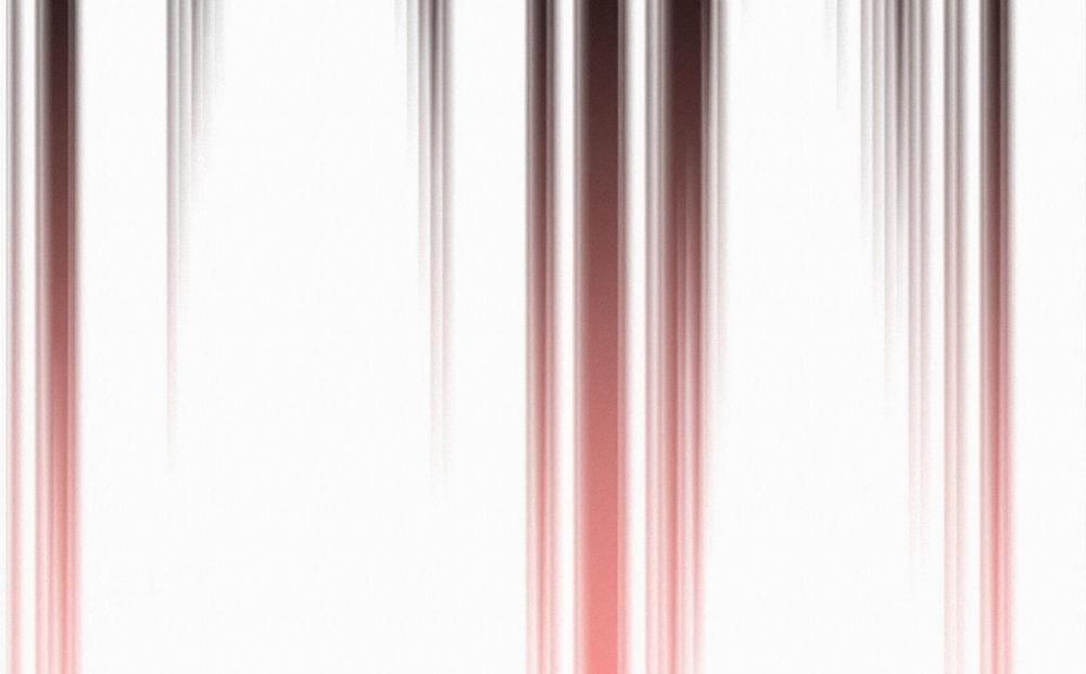 Đàn Thỏ Của Habibi 63 trang 240