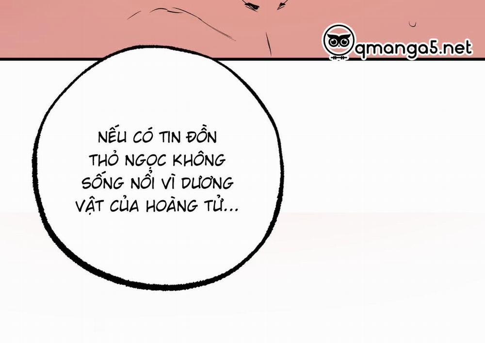 Đàn Thỏ Của Habibi 63 trang 255