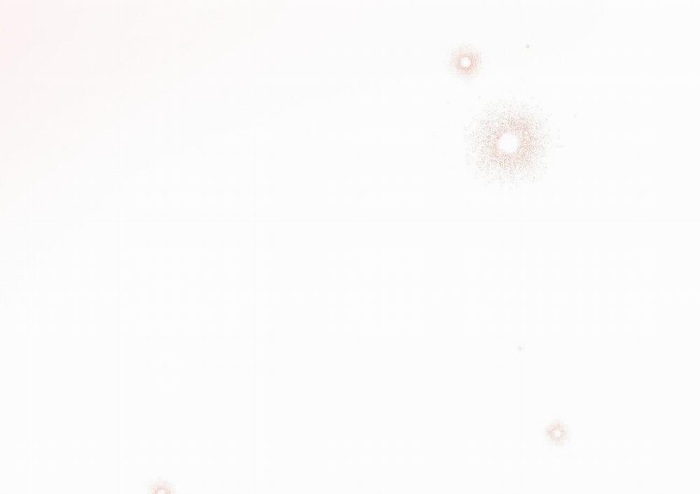 Đàn Thỏ Của Habibi 63 trang 51