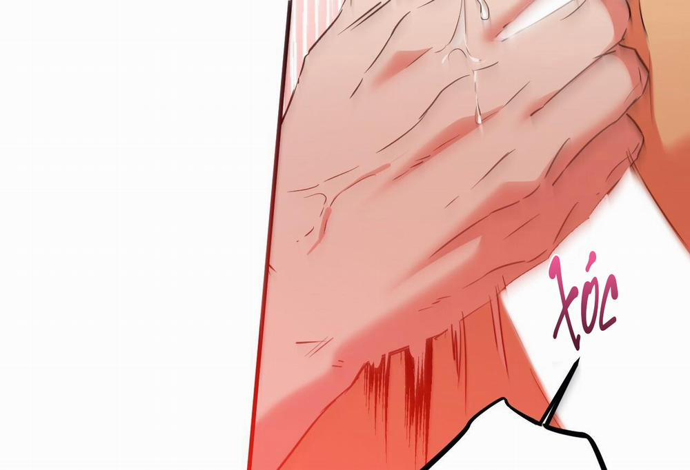 Đàn Thỏ Của Habibi 64 trang 12