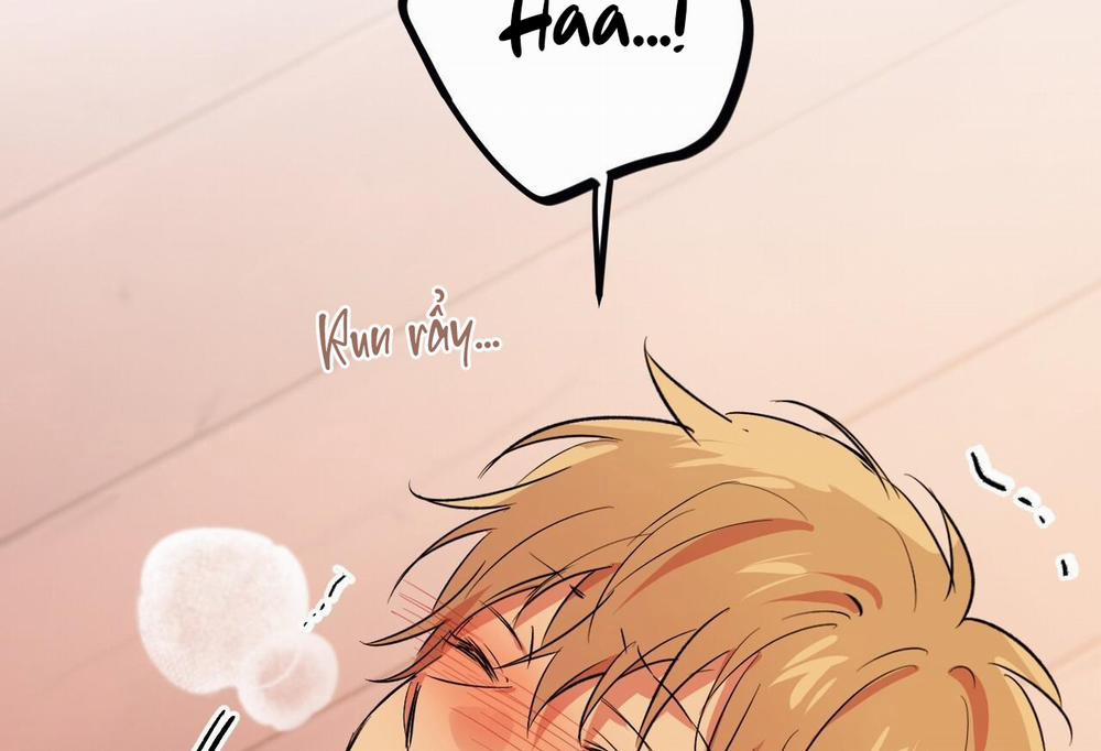 Đàn Thỏ Của Habibi 64 trang 15