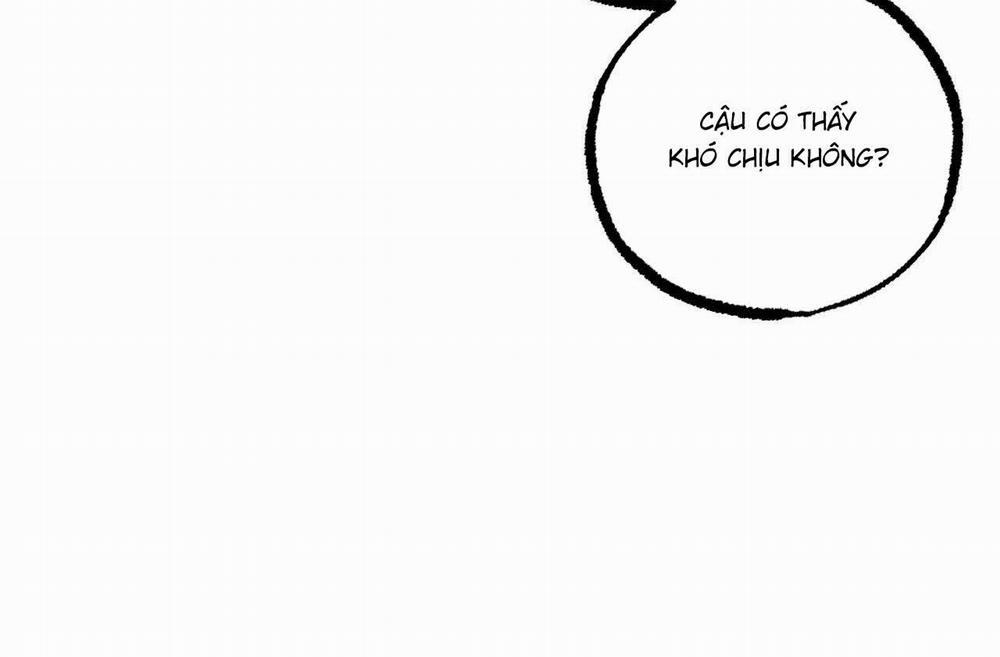 Đàn Thỏ Của Habibi 64 trang 163