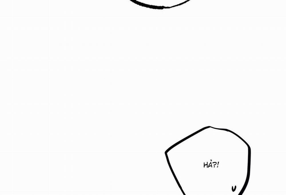 Đàn Thỏ Của Habibi 64 trang 210