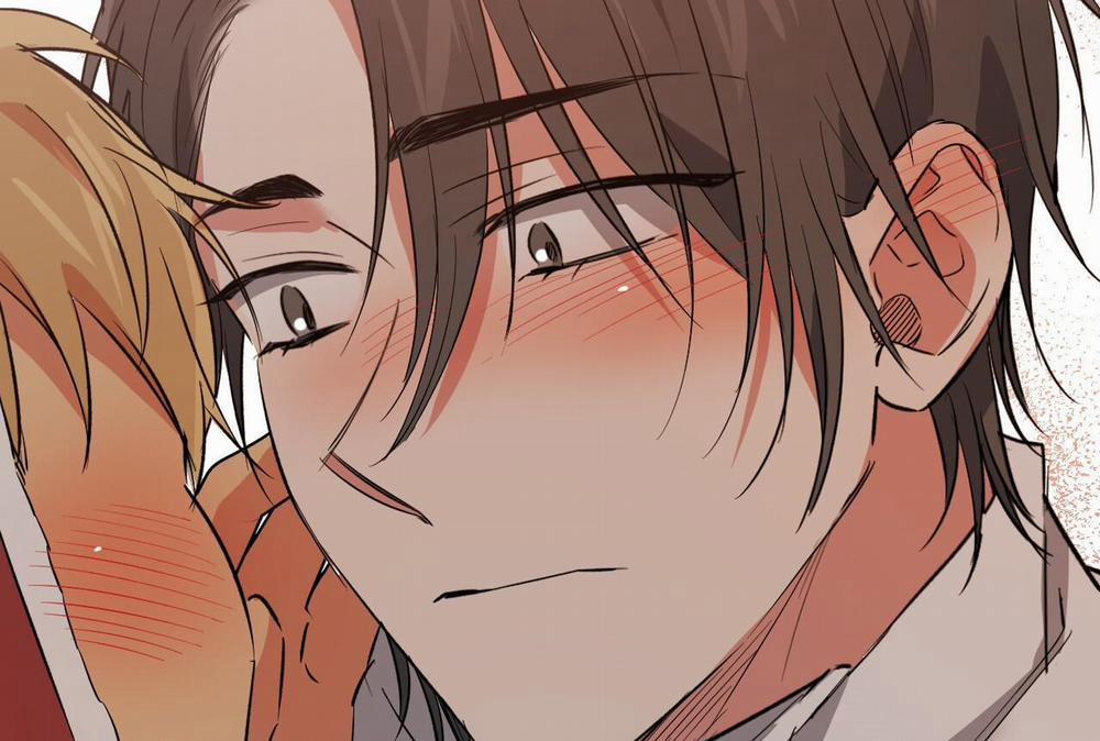 Đàn Thỏ Của Habibi 64 trang 252