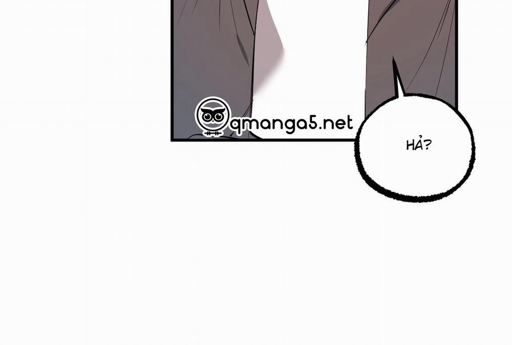 Đàn Thỏ Của Habibi 64 trang 276