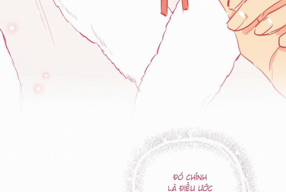 Đàn Thỏ Của Habibi 64 trang 285