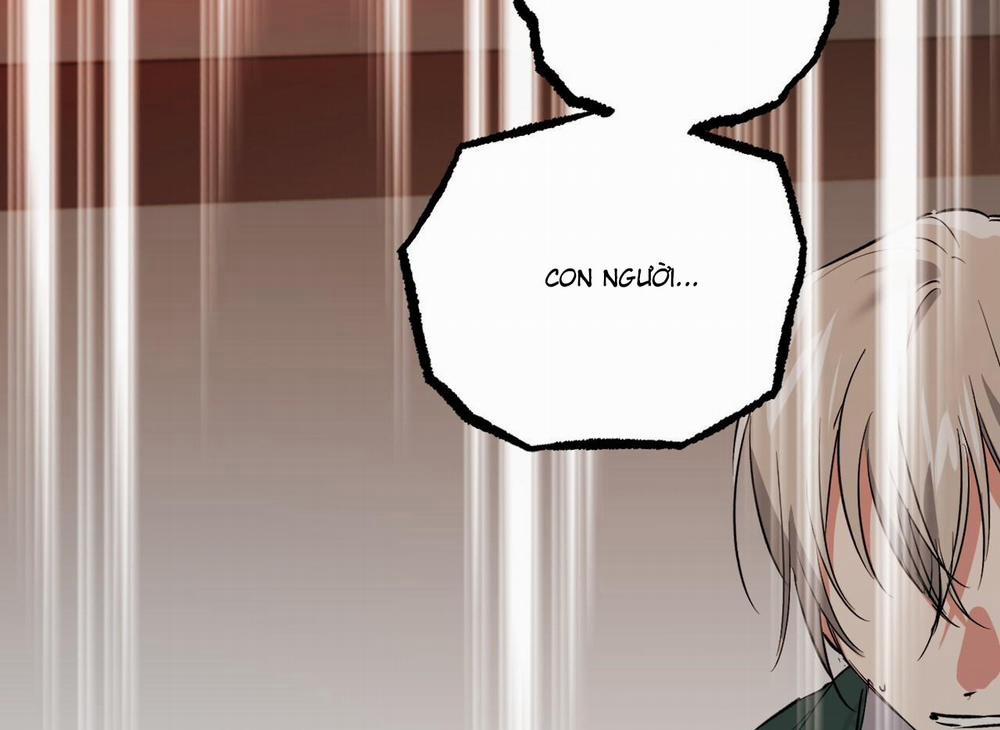 Đàn Thỏ Của Habibi 64 trang 310