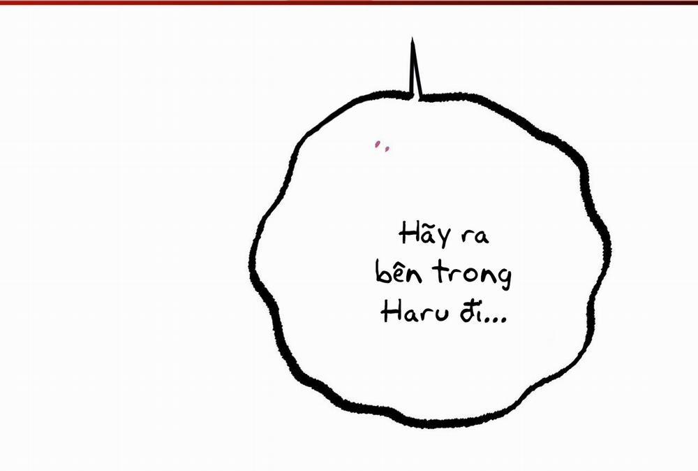 Đàn Thỏ Của Habibi 64 trang 39