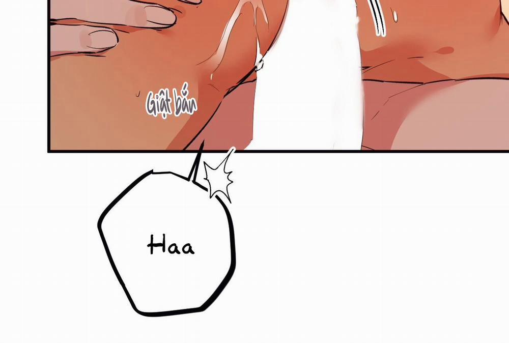 Đàn Thỏ Của Habibi 64 trang 48