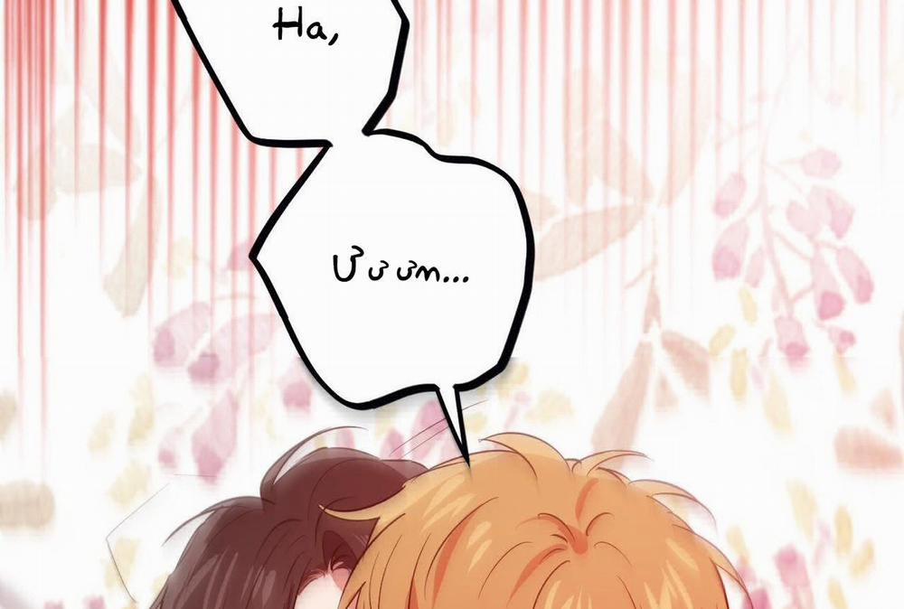 Đàn Thỏ Của Habibi 64 trang 57