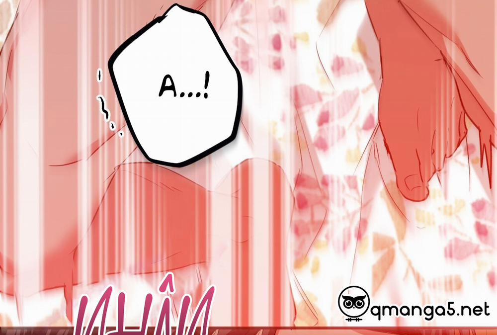 Đàn Thỏ Của Habibi 64 trang 61