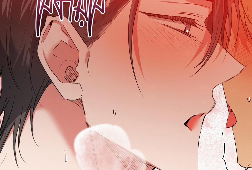 Đàn Thỏ Của Habibi 64 trang 62