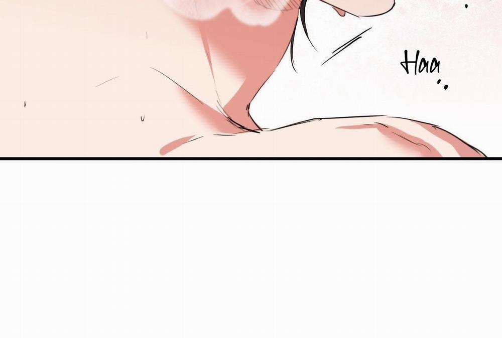 Đàn Thỏ Của Habibi 64 trang 63