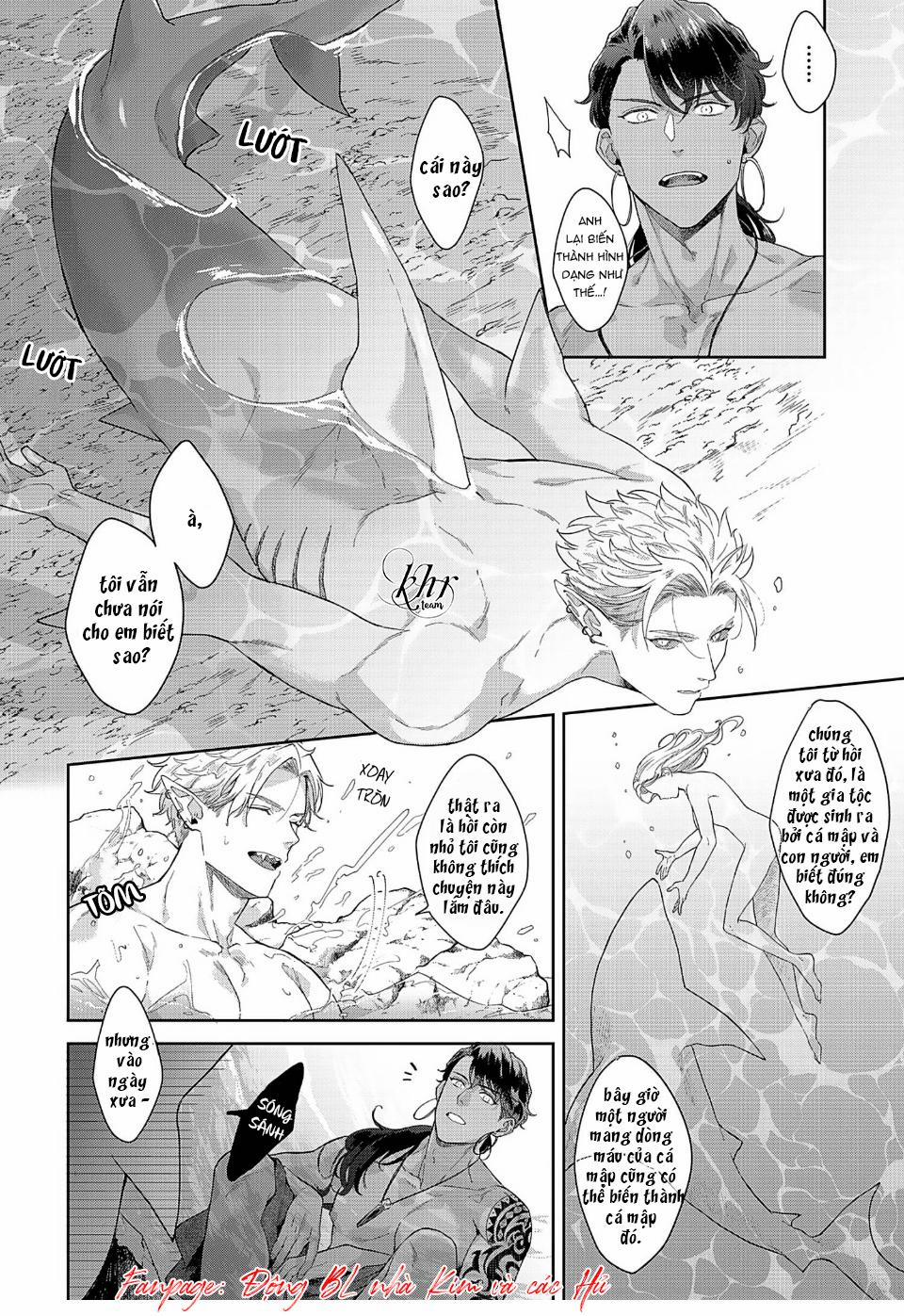 DÂNG HIẾN CHO TỘC CÁ MẬP 3 trang 19