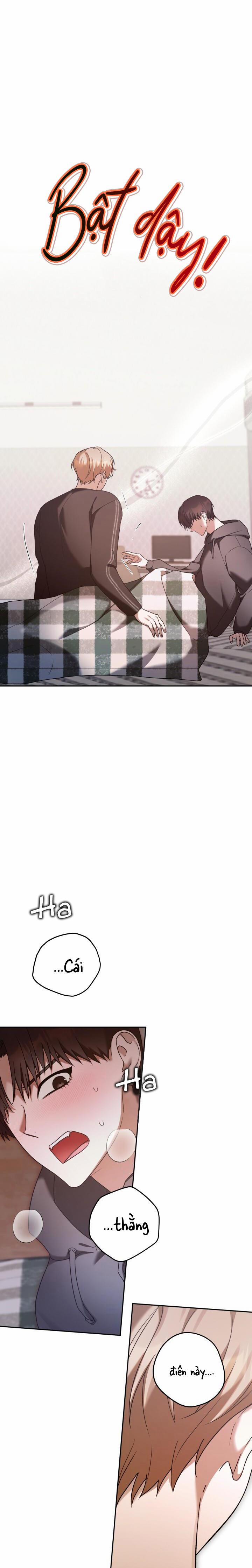 Đang Lập Kế Trả Thù Tôi Yêu Kẻ Thù Lúc Nào Không Hay 24 trang 4