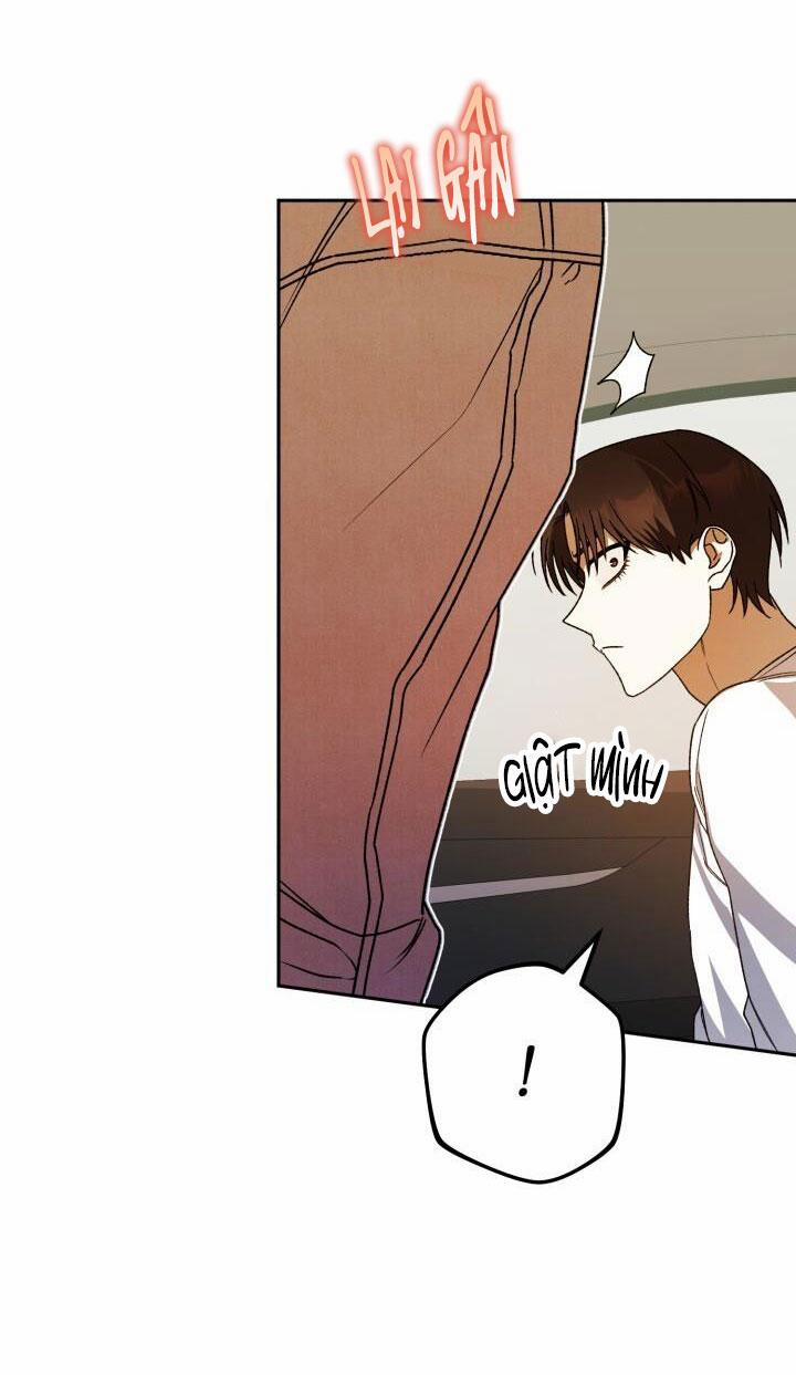 Đang Lập Kế Trả Thù Tôi Yêu Kẻ Thù Lúc Nào Không Hay 30 trang 12