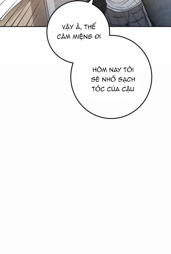 Đang Lập Kế Trả Thù Tôi Yêu Kẻ Thù Lúc Nào Không Hay 36 trang 80