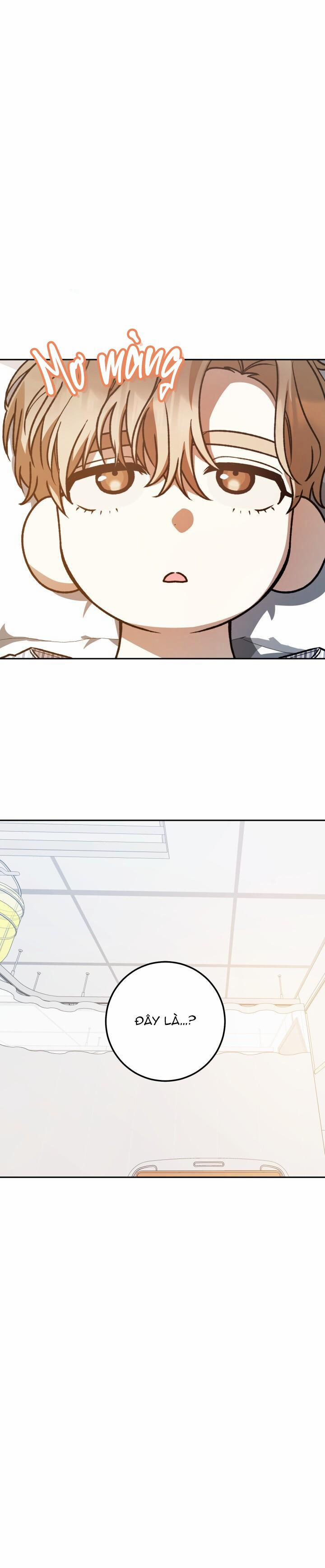 Đang Lập Kế Trả Thù Tôi Yêu Kẻ Thù Lúc Nào Không Hay 45 trang 8