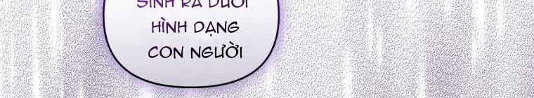 Đánh Cắp Trái Tim Của Nam Chính 25.5 trang 13