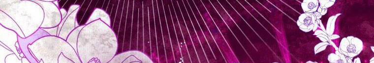 Đánh Cắp Trái Tim Của Nam Chính 26 trang 250