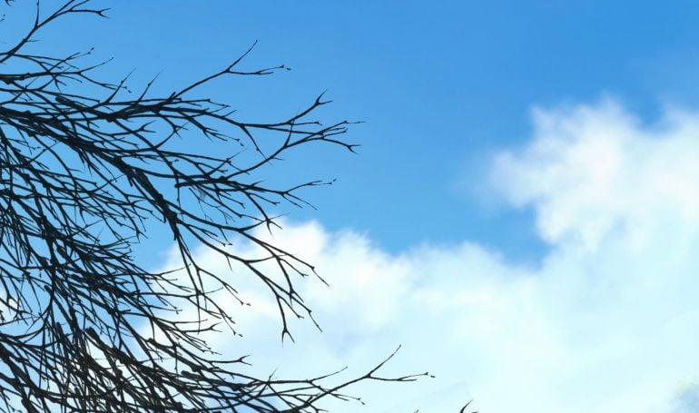 Đánh Chết Cũng Không Làm Sư Tôn 132 trang 0