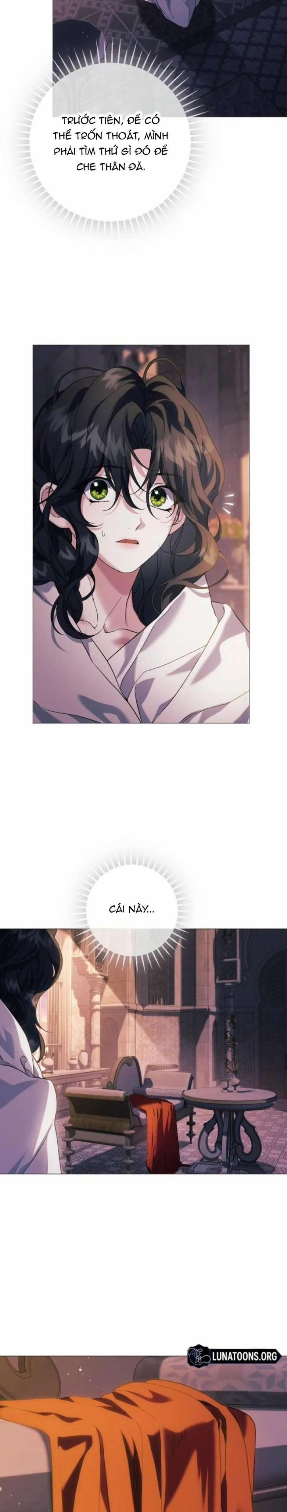 Dành Cho Các Nữ Thần : Dành Cho Daphne 11 trang 17