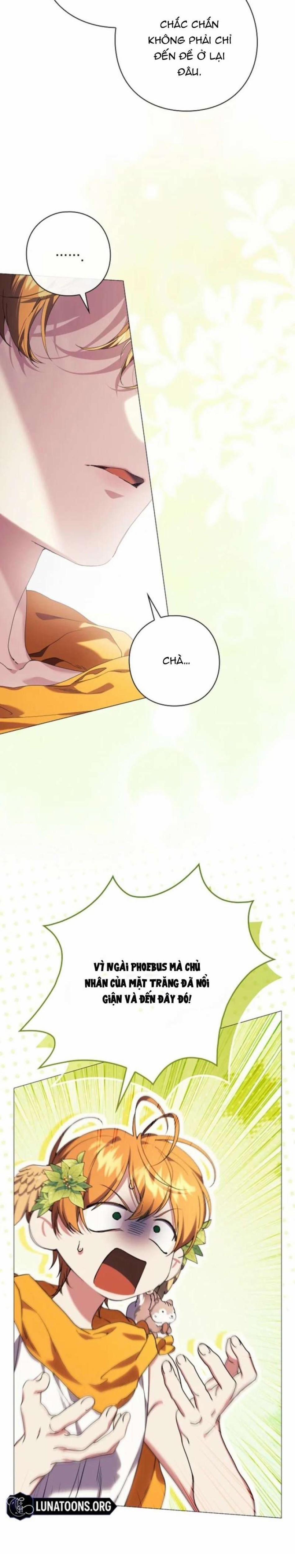 Dành Cho Các Nữ Thần : Dành Cho Daphne 12 trang 8