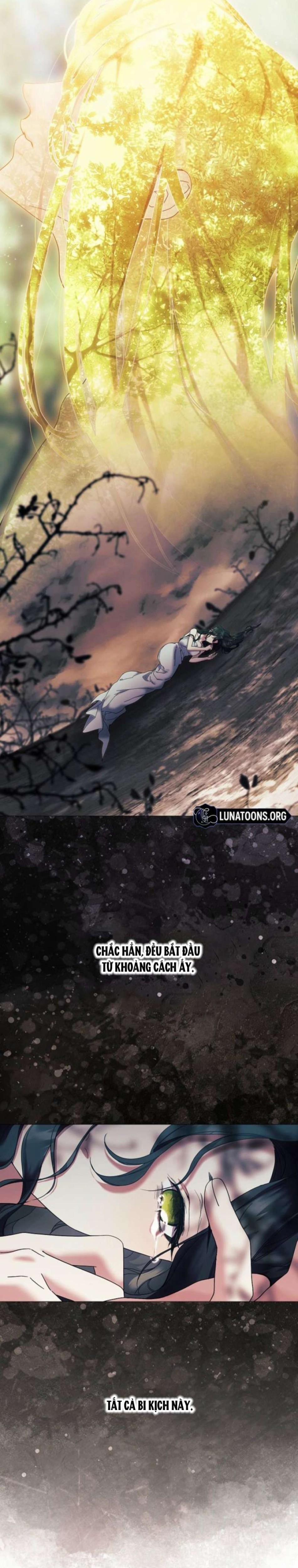 Dành Cho Các Nữ Thần : Dành Cho Daphne 4 trang 16