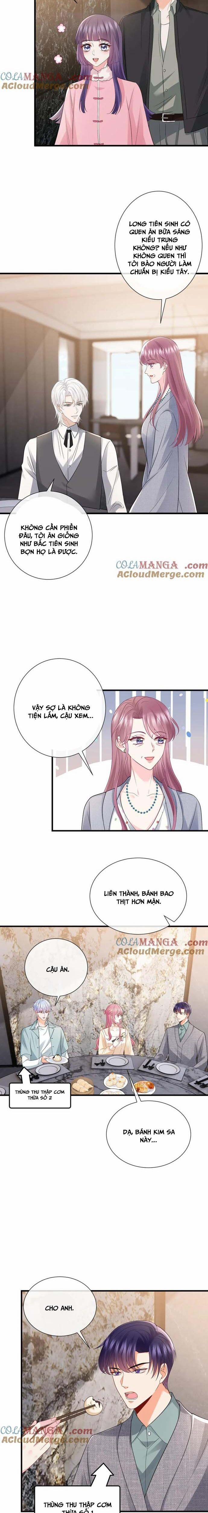 Danh Môn Chí Ái 529 trang 8