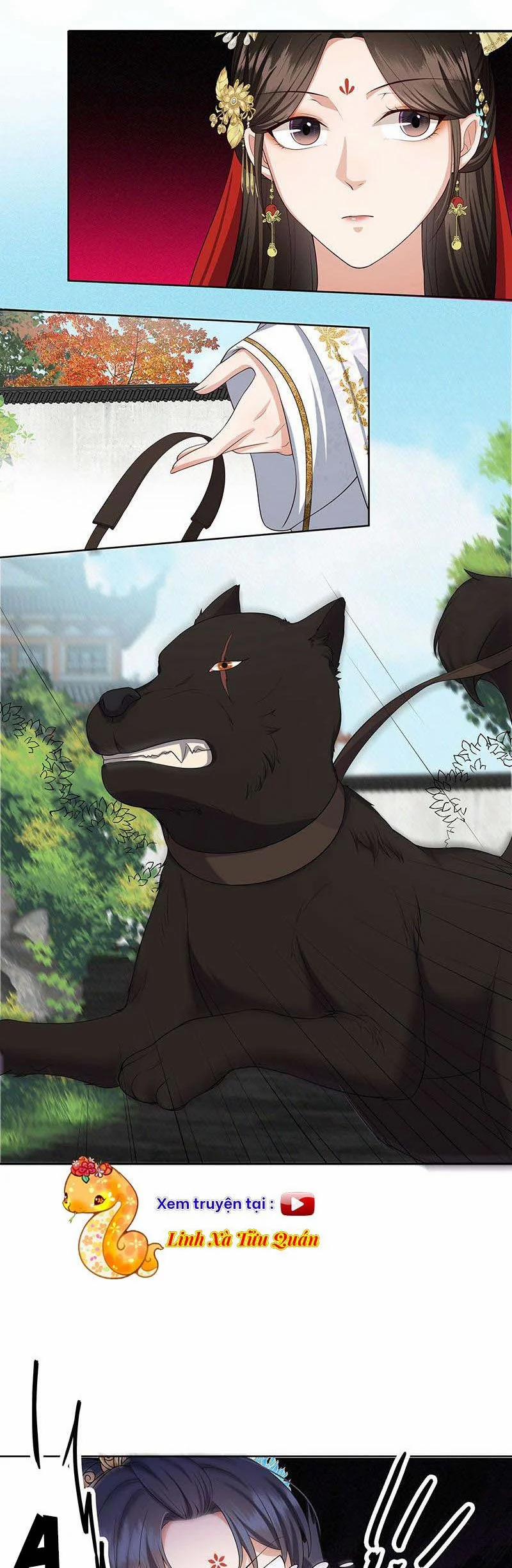 Đào Hoa Chiếu Ngọc Án 21 trang 13